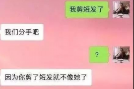 延平专业讨债公司有哪些核心服务？